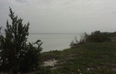 Lote en el Puerto de Chabihau Yucatan