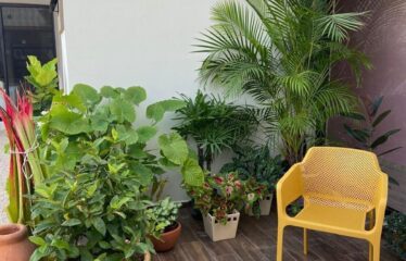Casa de una planta en Las Acacias Chichi Suarez Modelo Yucatan en Preventa